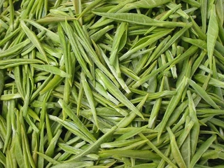 Tomurcuk Çay Kullanımı ve Faydaları Nelerdir?